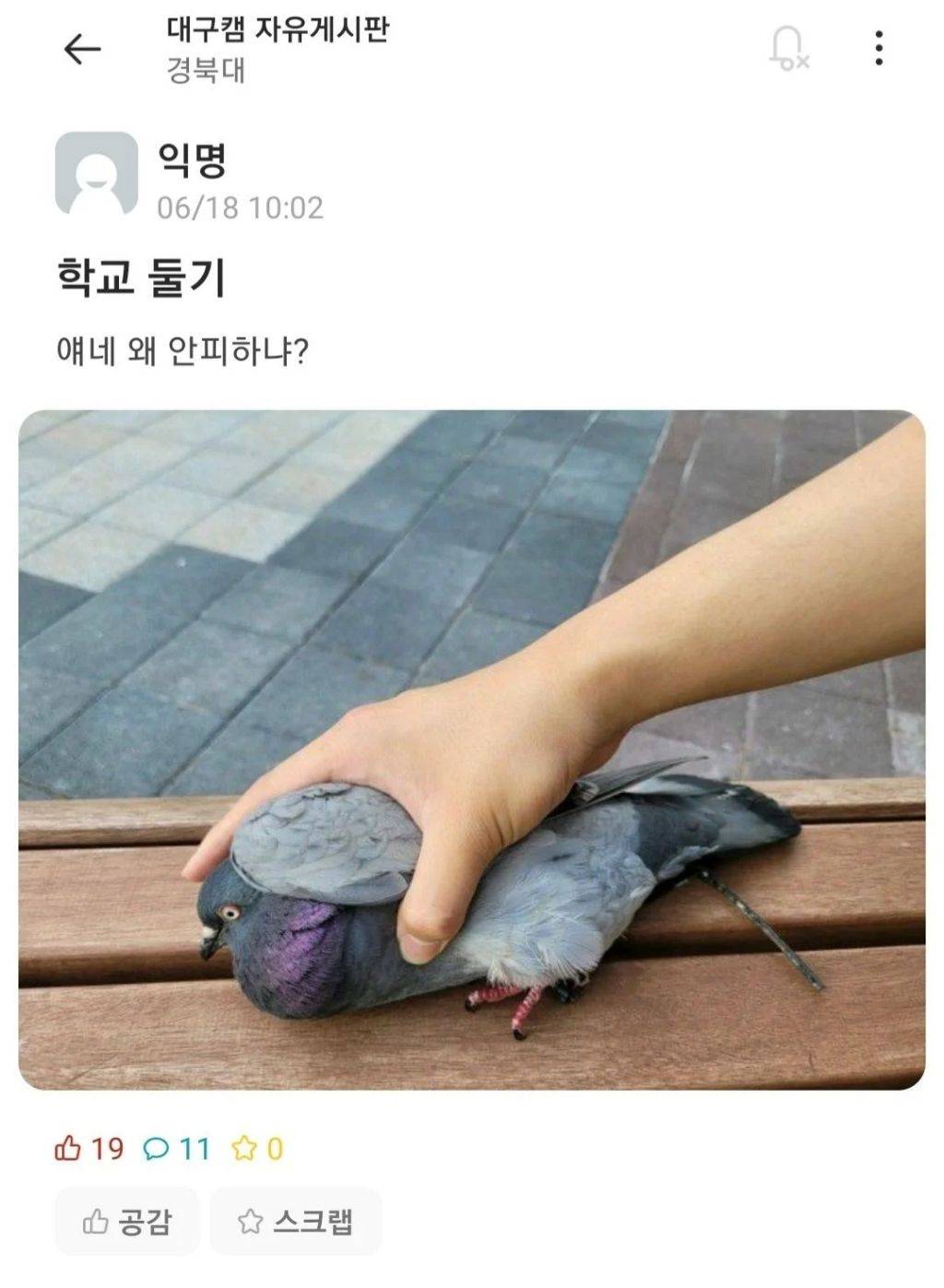 우당탕탕 경북대학교 에타 모음 | 인스티즈