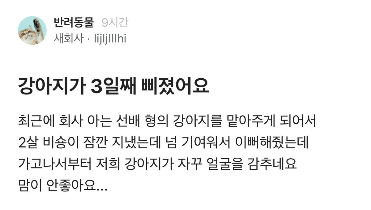 강아지가 3일째 삐져있어요 | 인스티즈