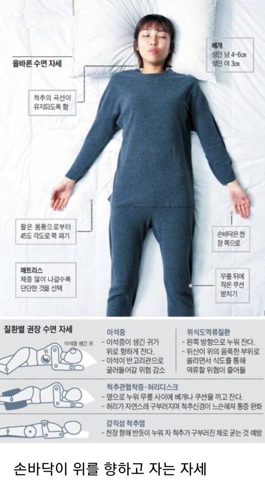 올바른 수면 자세 | 인스티즈