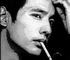 본인이 한 달 평균 술이나 담배로 사용하는 비용은? | 인스티즈