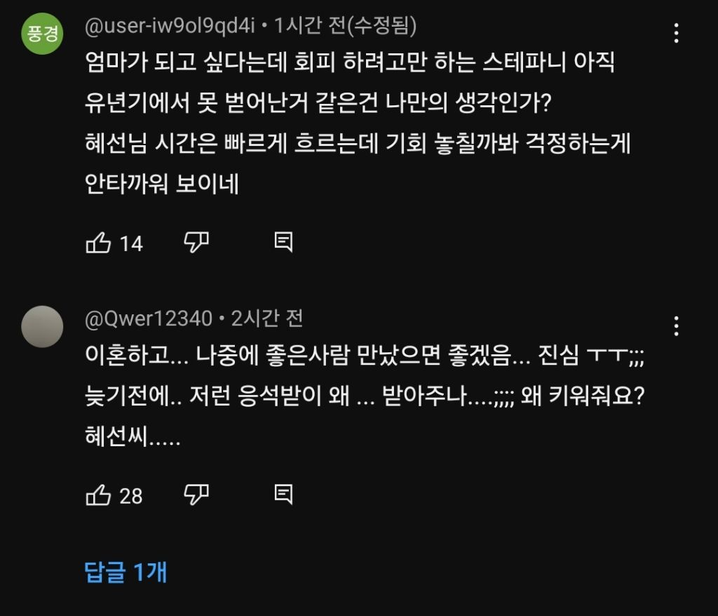 2세 문제로 대화하는 김혜선,스테판 부부 | 인스티즈