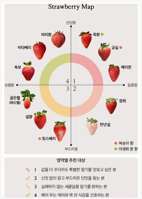 nokbeon.net-생각보다 다양한 딸기 종류-1번 이미지