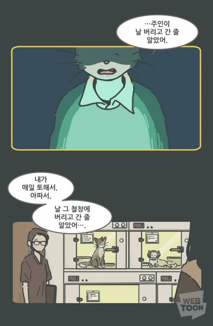 병원에서 죽음을 맞이한 고양이와 마지막을 지키지 못한 주인의 이야기 | 인스티즈