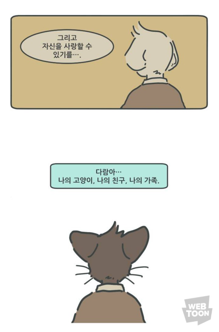 병원에서 죽음을 맞이한 고양이와 마지막을 지키지 못한 주인의 이야기 | 인스티즈