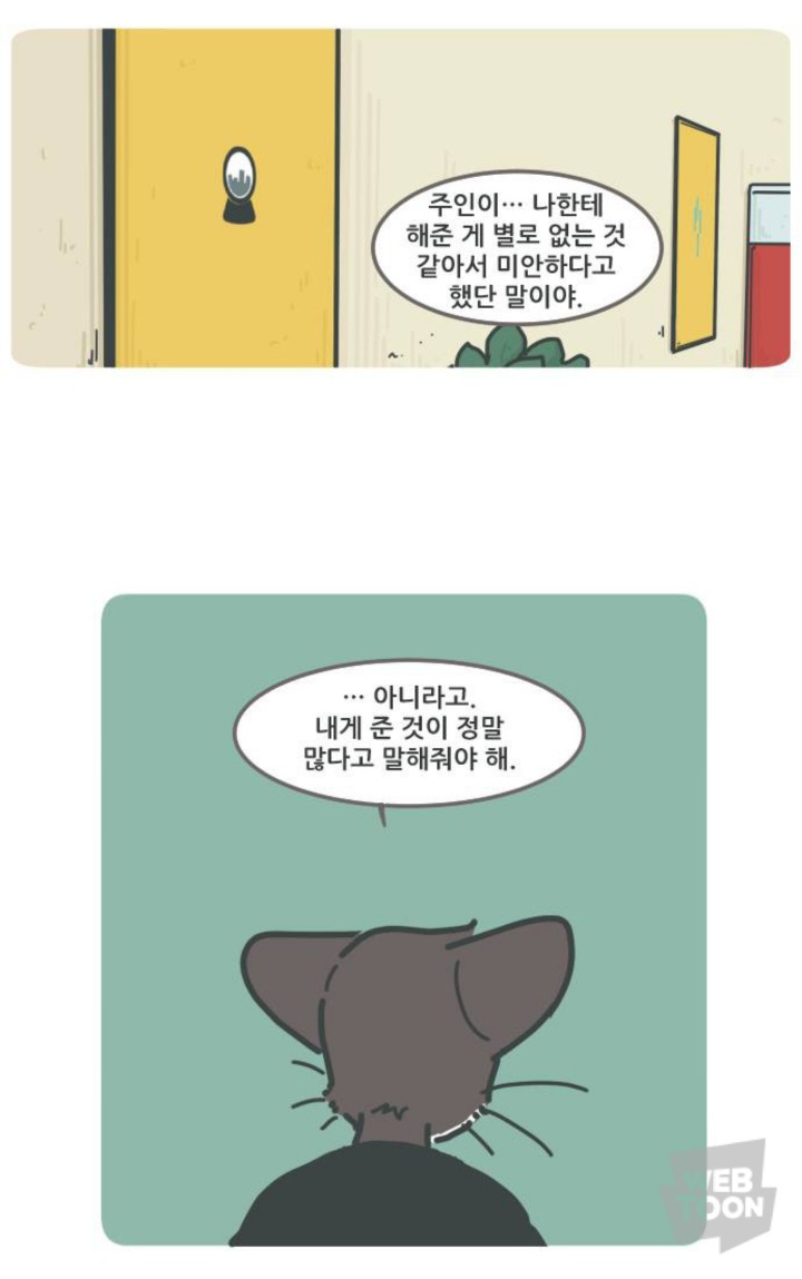 병원에서 죽음을 맞이한 고양이와 마지막을 지키지 못한 주인의 이야기 | 인스티즈