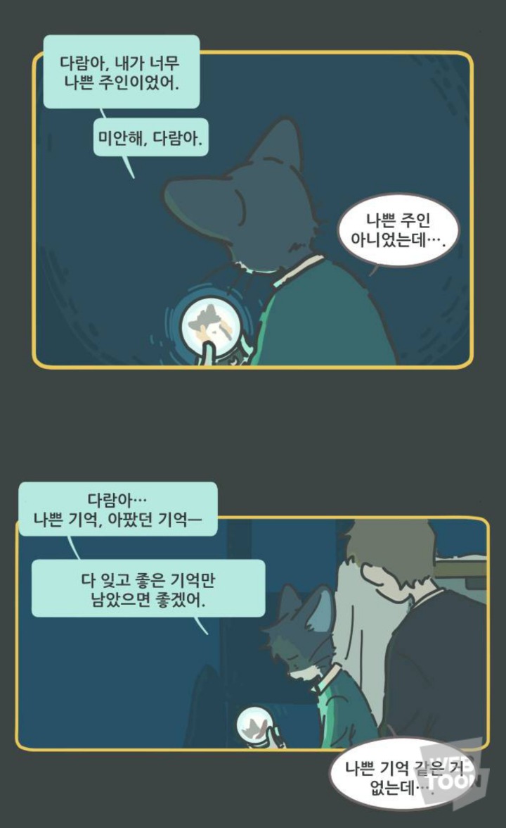 병원에서 죽음을 맞이한 고양이와 마지막을 지키지 못한 주인의 이야기 | 인스티즈