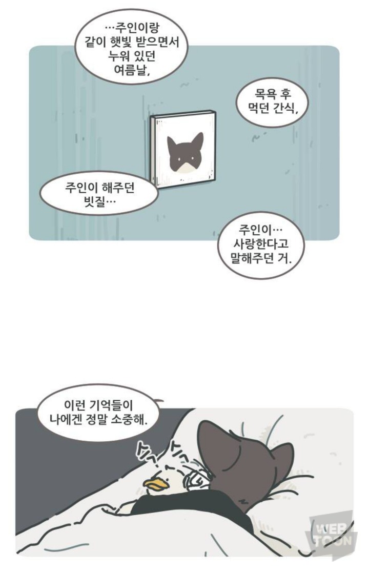 병원에서 죽음을 맞이한 고양이와 마지막을 지키지 못한 주인의 이야기 | 인스티즈