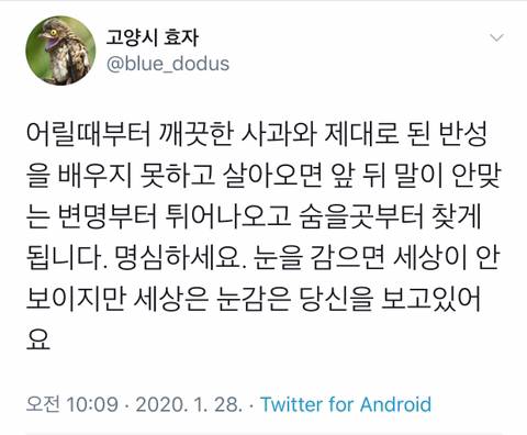 이것저것 인생 | 인스티즈