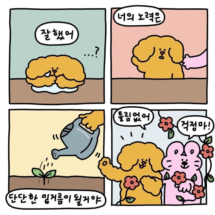 이것저것 인생 | 인스티즈