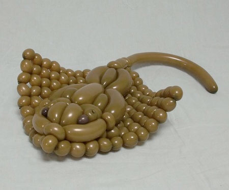 일본인이 만든 동물 풍선 | 인스티즈