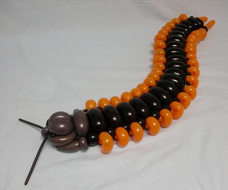 일본인이 만든 동물 풍선 | 인스티즈