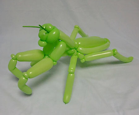 일본인이 만든 동물 풍선 | 인스티즈