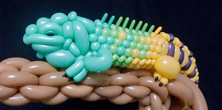 일본인이 만든 동물 풍선 | 인스티즈