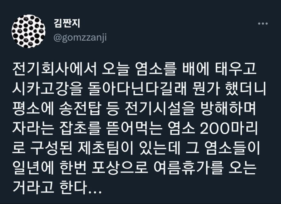 전력회사와 염소의 상관관계 | 인스티즈