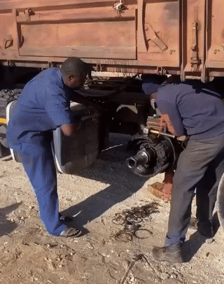 운반 트럭이 고장 난 사이 오렌지 훔먹는 아프리카 | 인스티즈