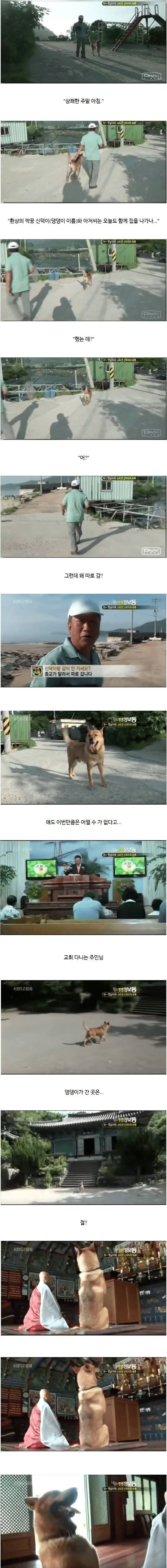 종교의 자유 레전드 | 인스티즈