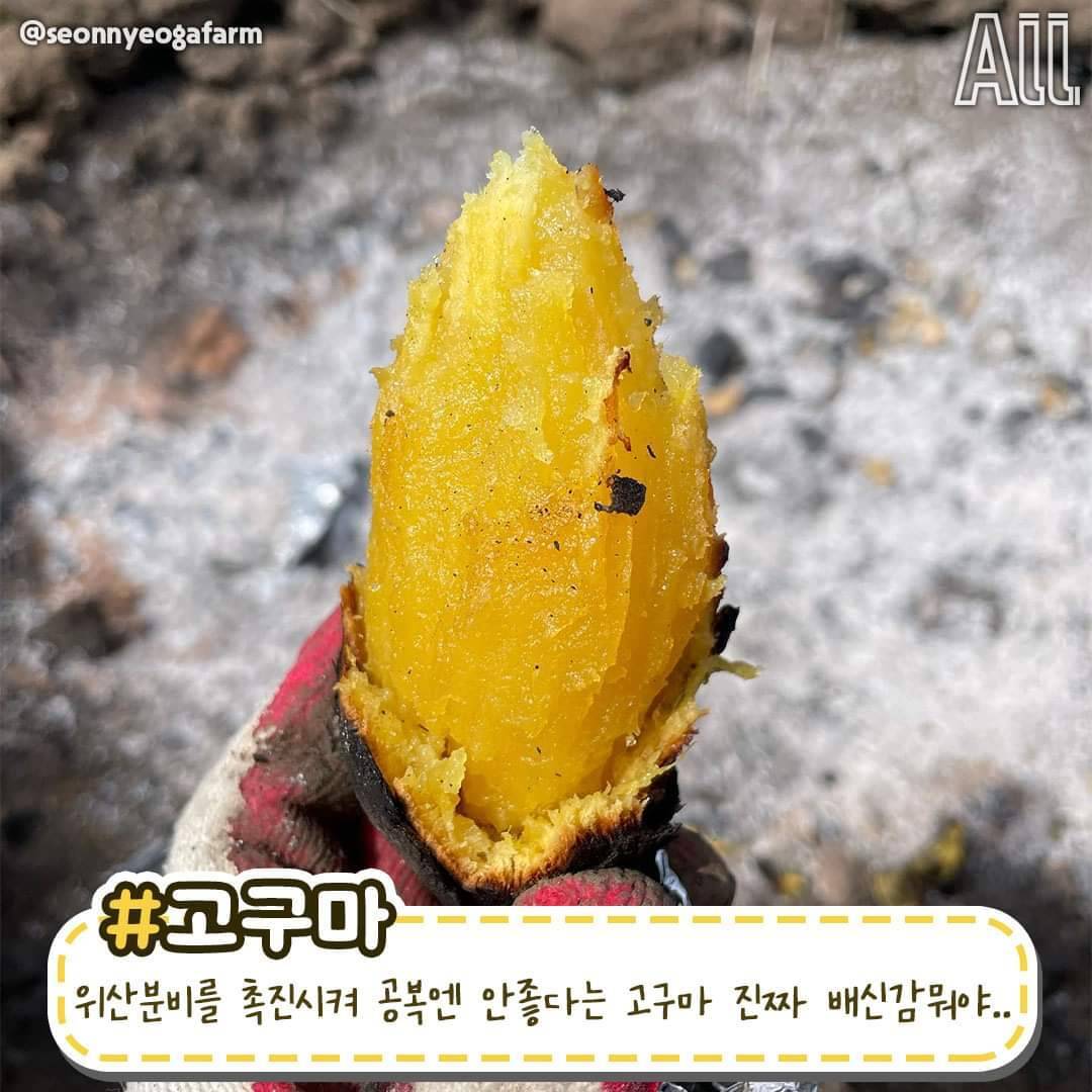 공복에 피해야 할 음식 | 인스티즈