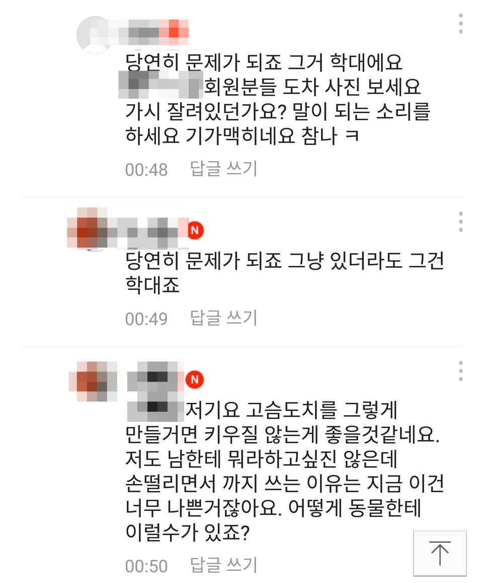 고슴도치 가시 잘라버린 사람 | 인스티즈