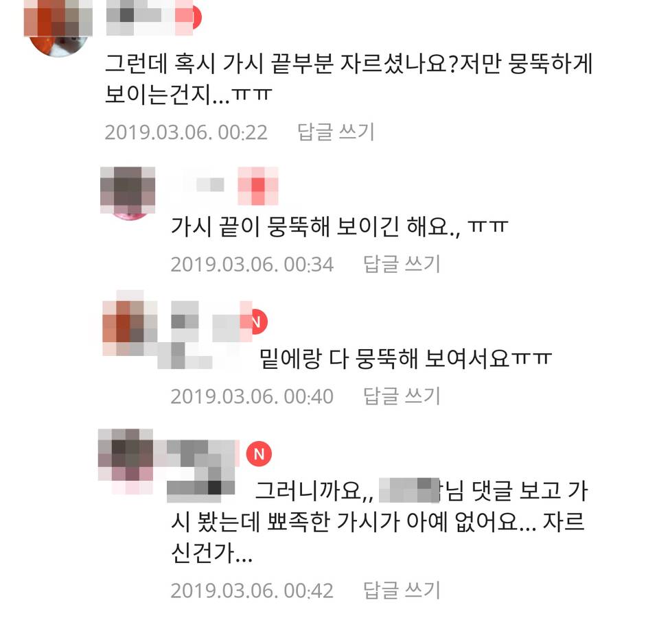 고슴도치 가시 잘라버린 사람 | 인스티즈