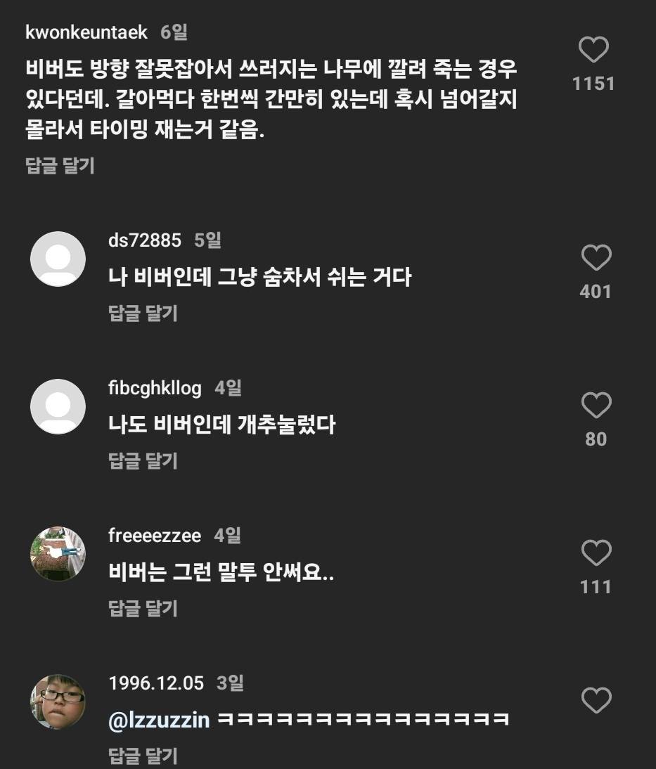 비버가 나무를 쓰러뜨리는 영상과 영상의 댓글 | 인스티즈