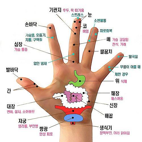 암 완치한 사람으로서 암은 이렇게 걸리는거 같다 | 인스티즈