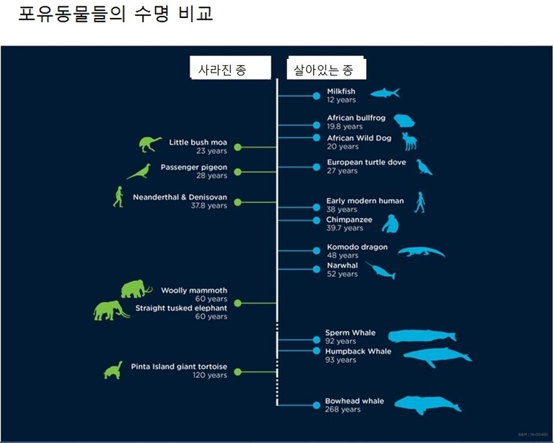 기대수명 400살과 기대수명 8주인 동물 | 인스티즈