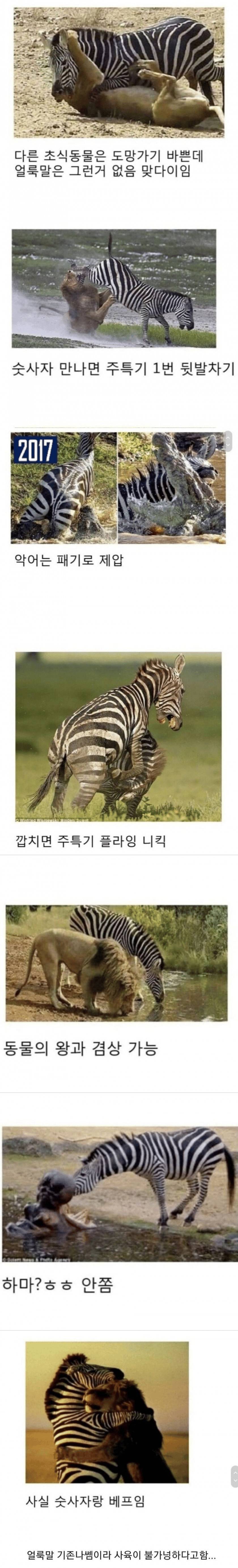 아프리카 문명이 발달하지 못한 이유 | 인스티즈
