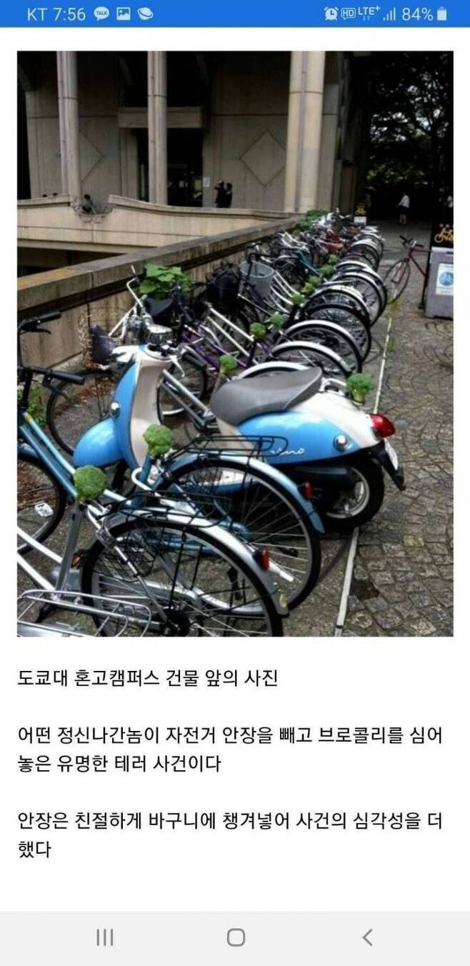 도쿄대 자전거 빌런 | 인스티즈