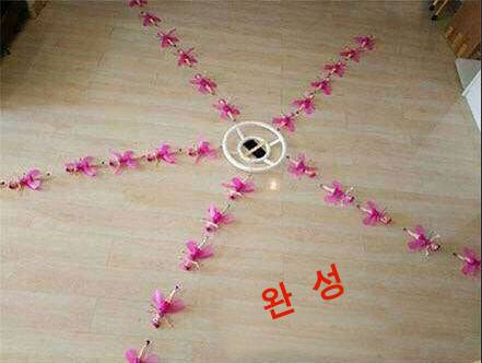 어느 조선족 근로자의 드론으로 사진찍기.jpg(웃김주의) | 인스티즈