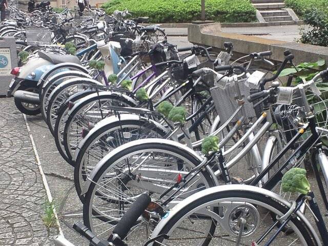 도쿄대 자전거 빌런 | 인스티즈