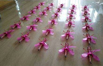 어느 조선족 근로자의 드론으로 사진찍기.jpg(웃김주의) | 인스티즈