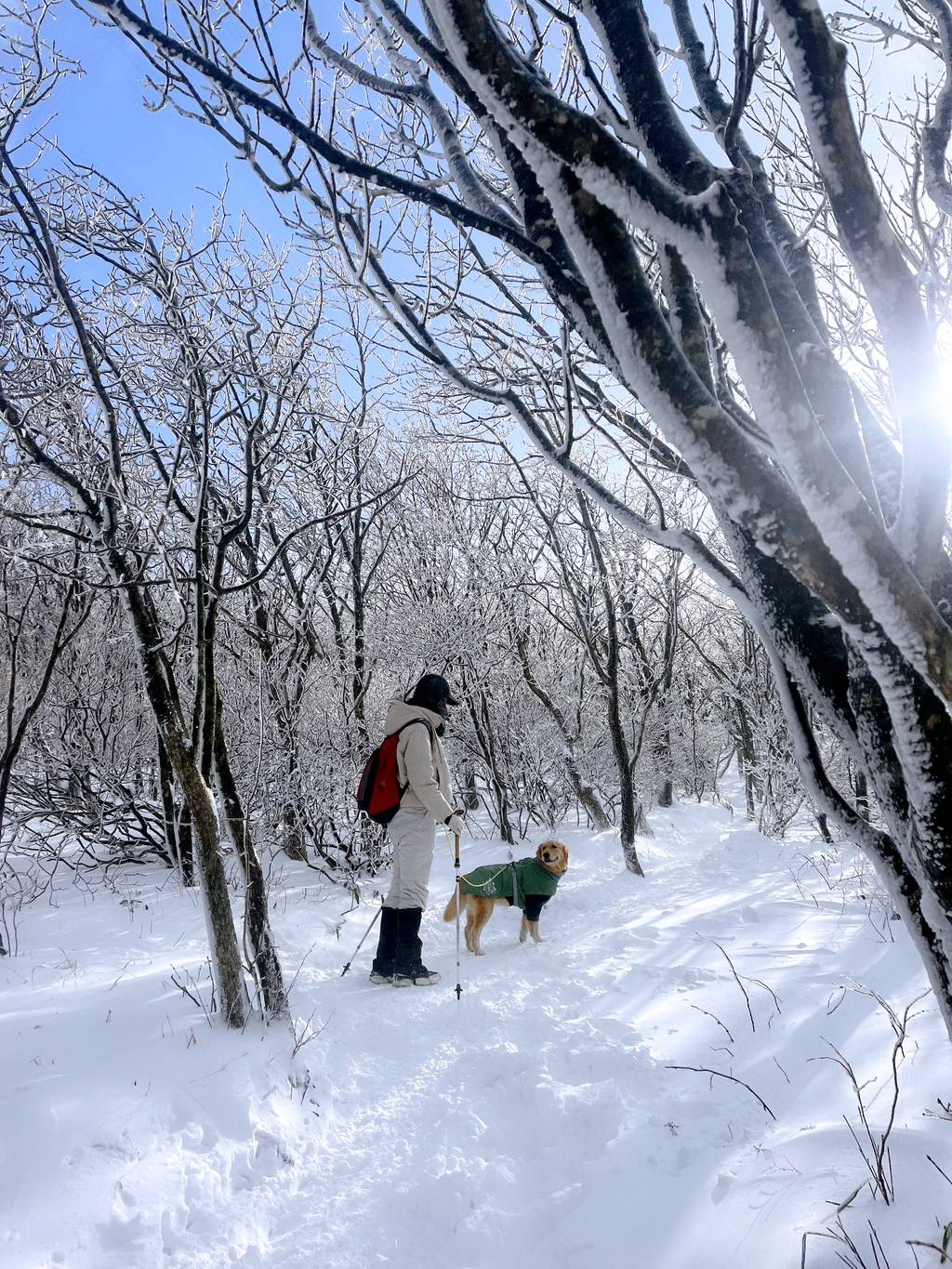 울강쥐 등산천재야 | 인스티즈