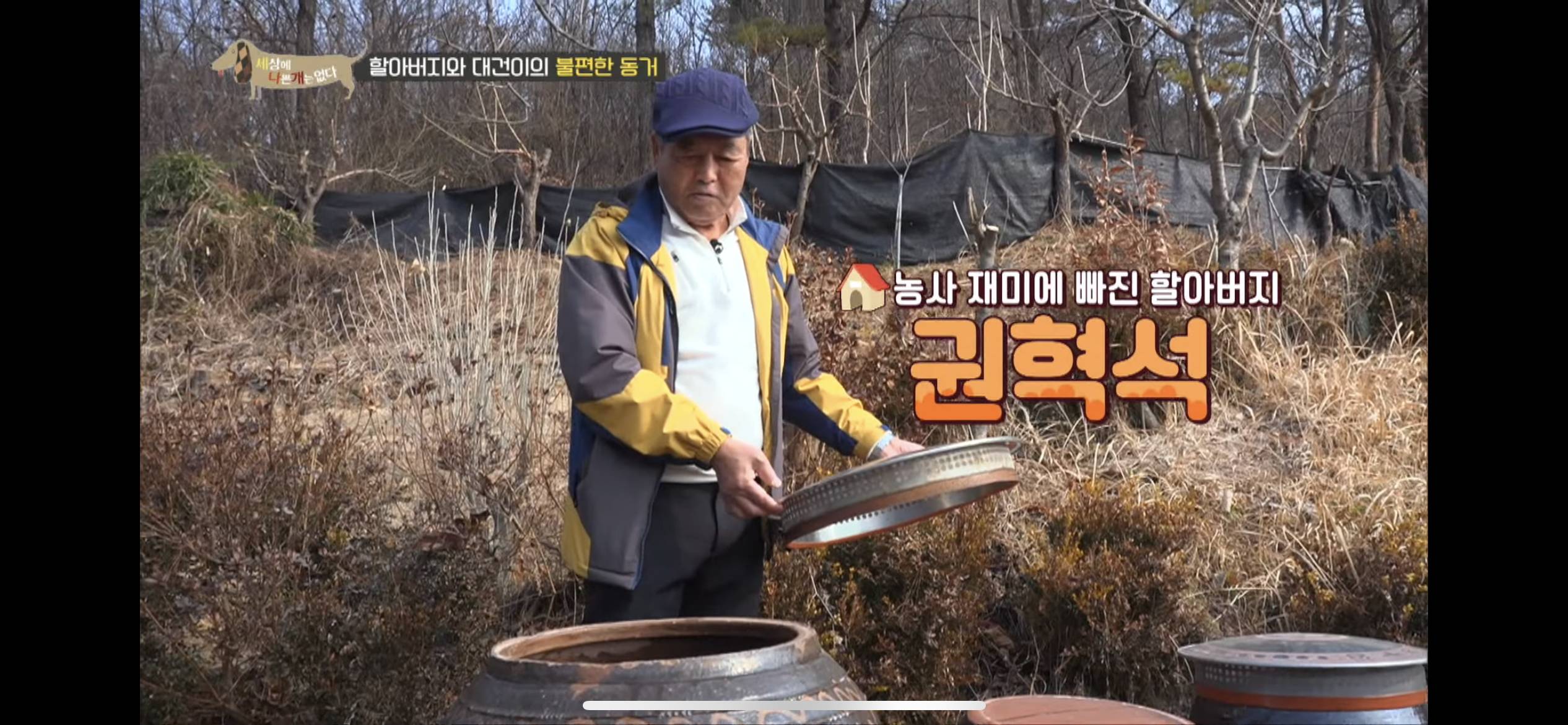 [세나개] 주인 할아버지를 무서워하는 들개 출신 대건이 | 인스티즈