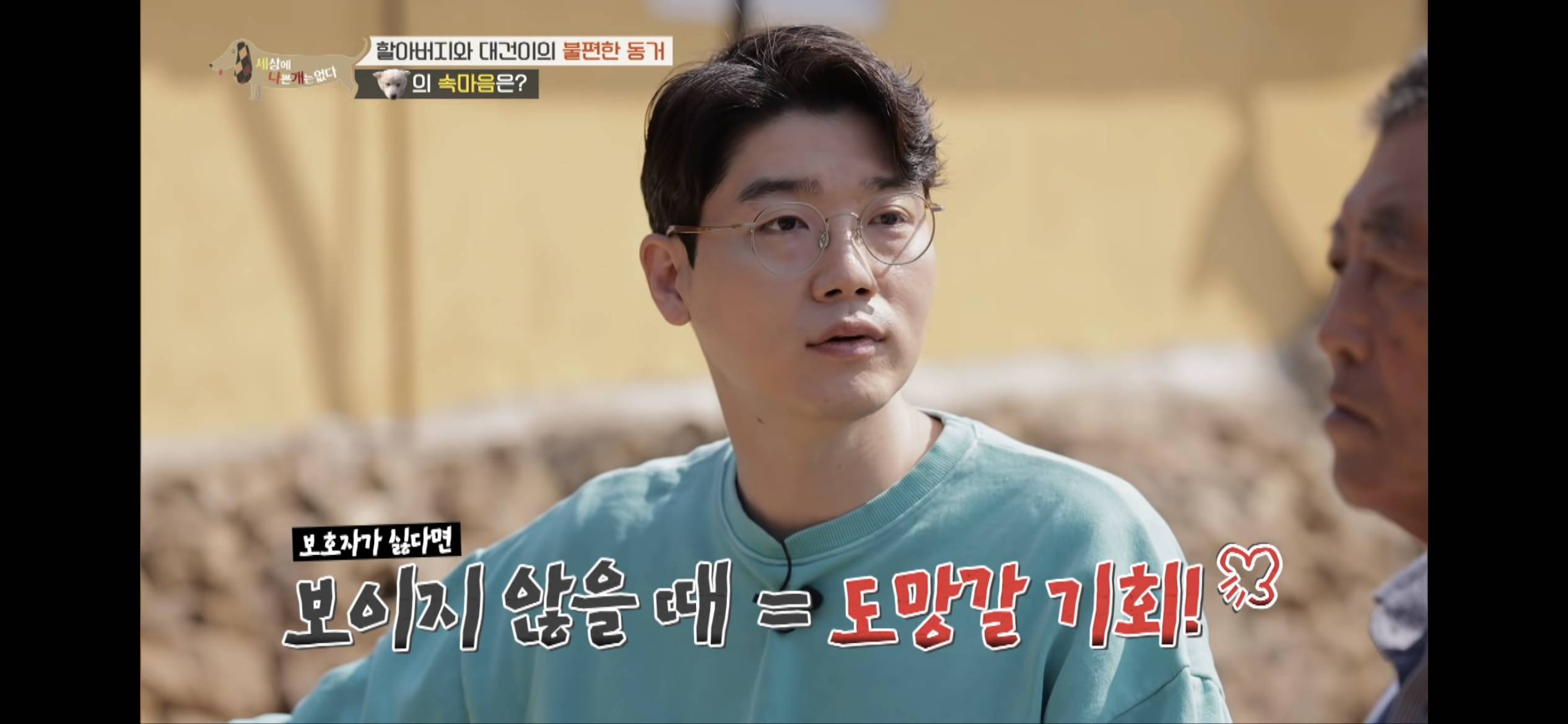 [세나개] 주인 할아버지를 무서워하는 들개 출신 대건이 | 인스티즈