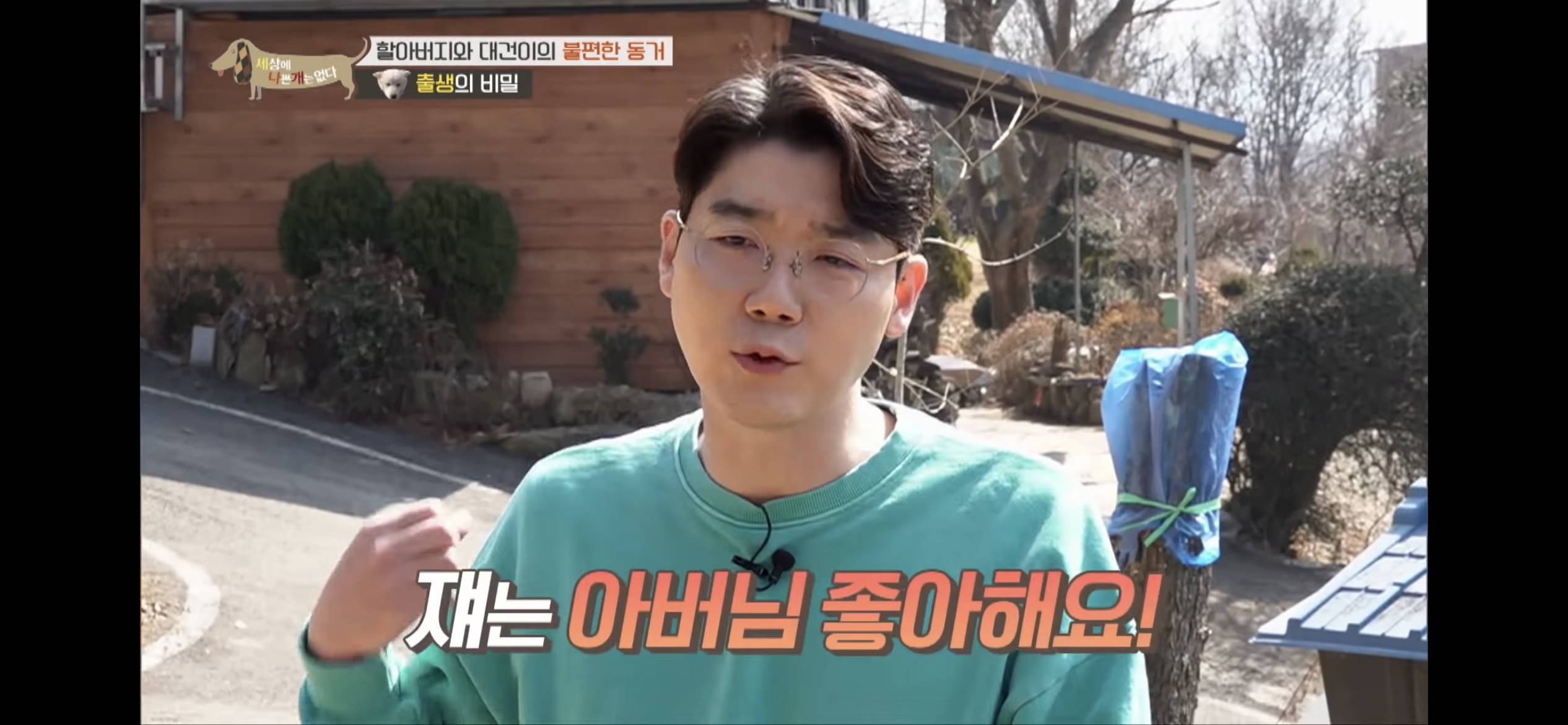 [세나개] 주인 할아버지를 무서워하는 들개 출신 대건이 | 인스티즈