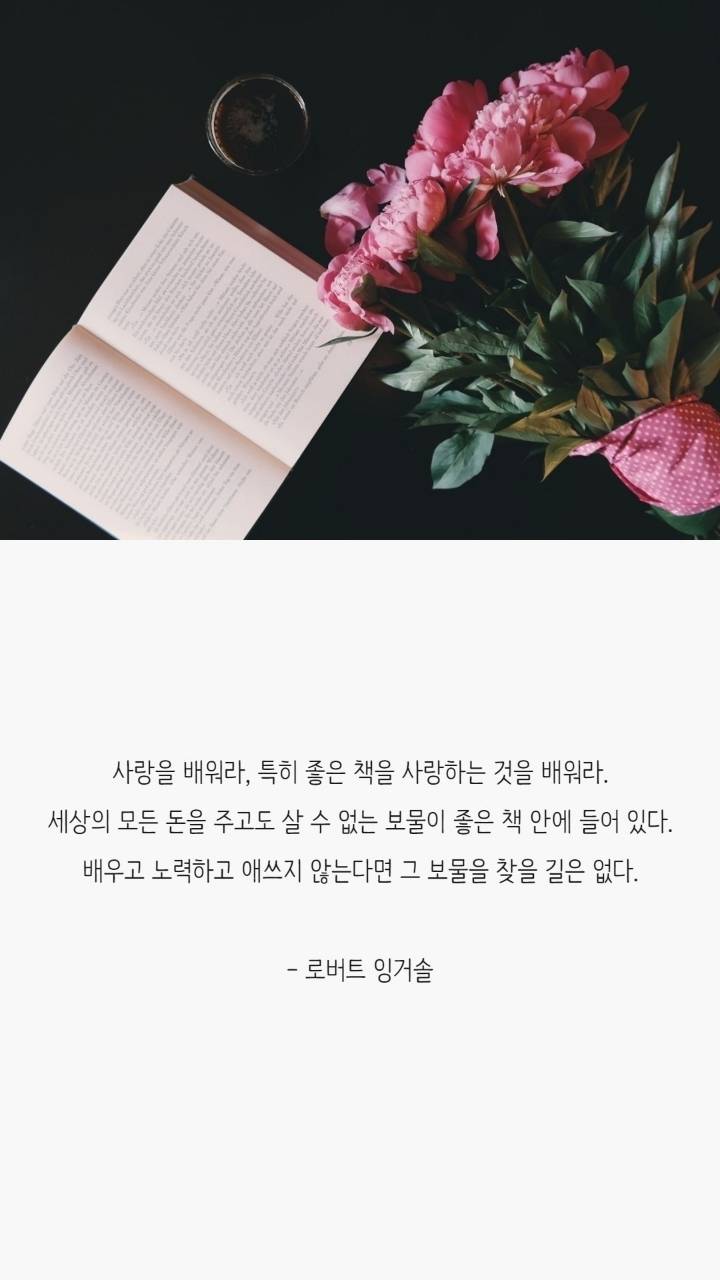 독서욕구 자극하는 책 명언 | 인스티즈