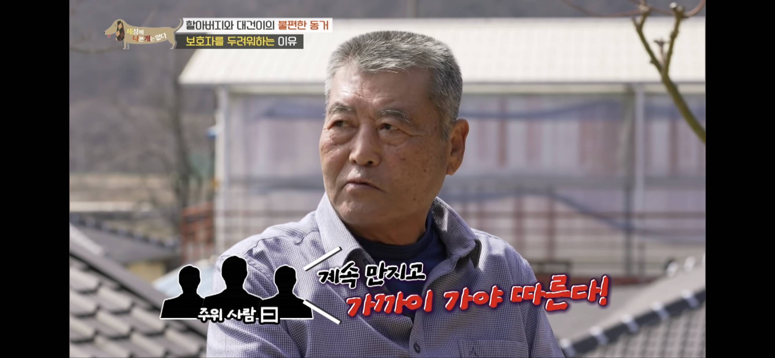 [세나개] 주인 할아버지를 무서워하는 들개 출신 대건이 | 인스티즈