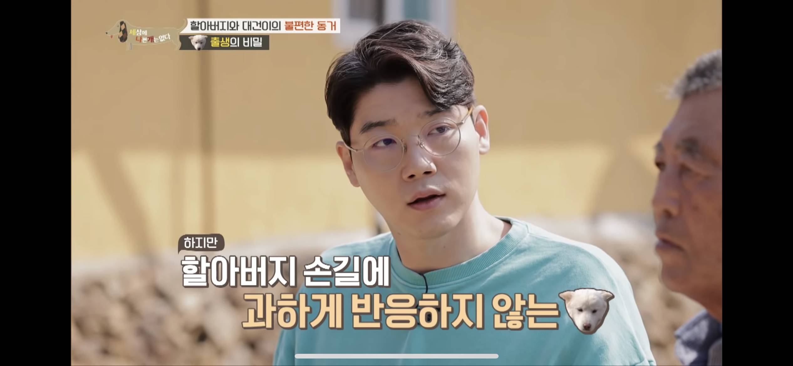[세나개] 주인 할아버지를 무서워하는 들개 출신 대건이 | 인스티즈