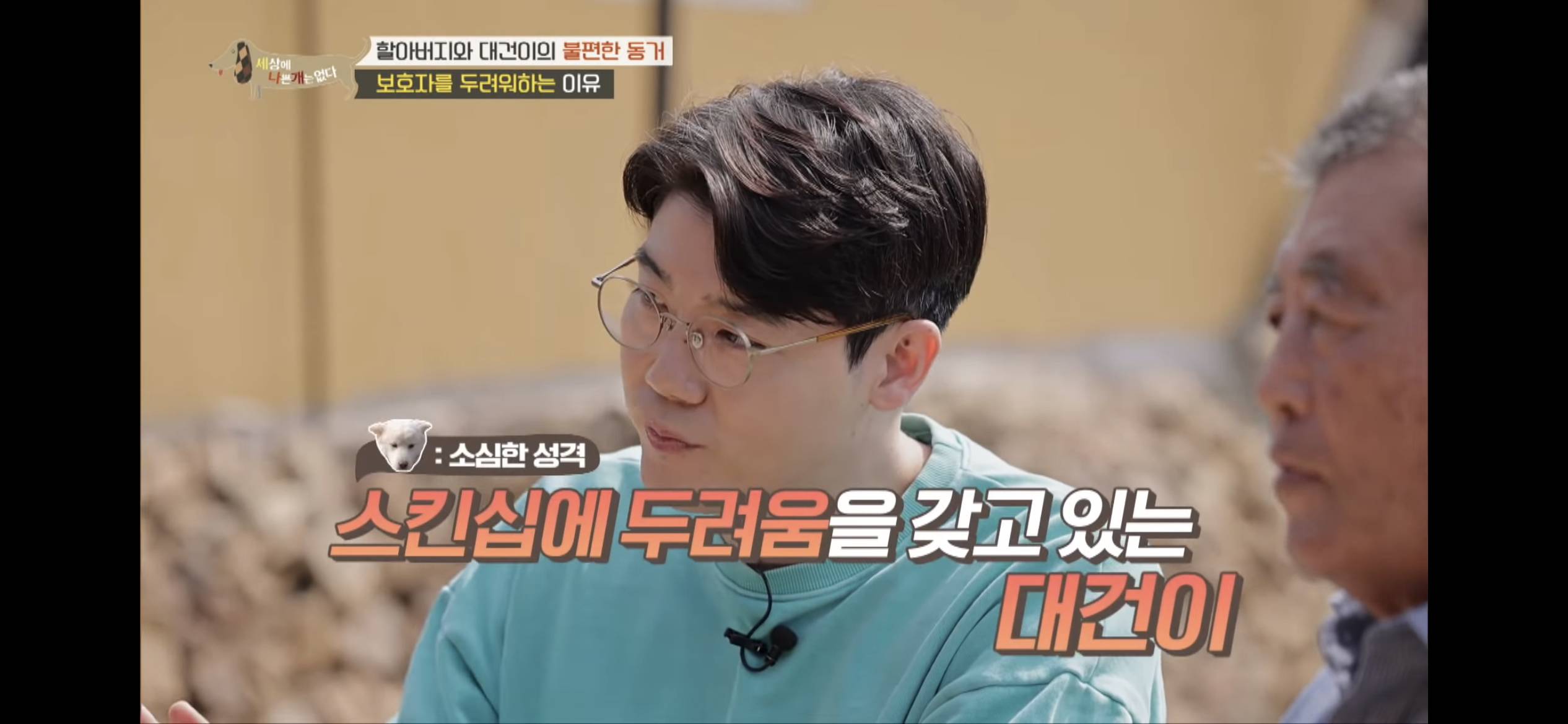 [세나개] 주인 할아버지를 무서워하는 들개 출신 대건이 | 인스티즈