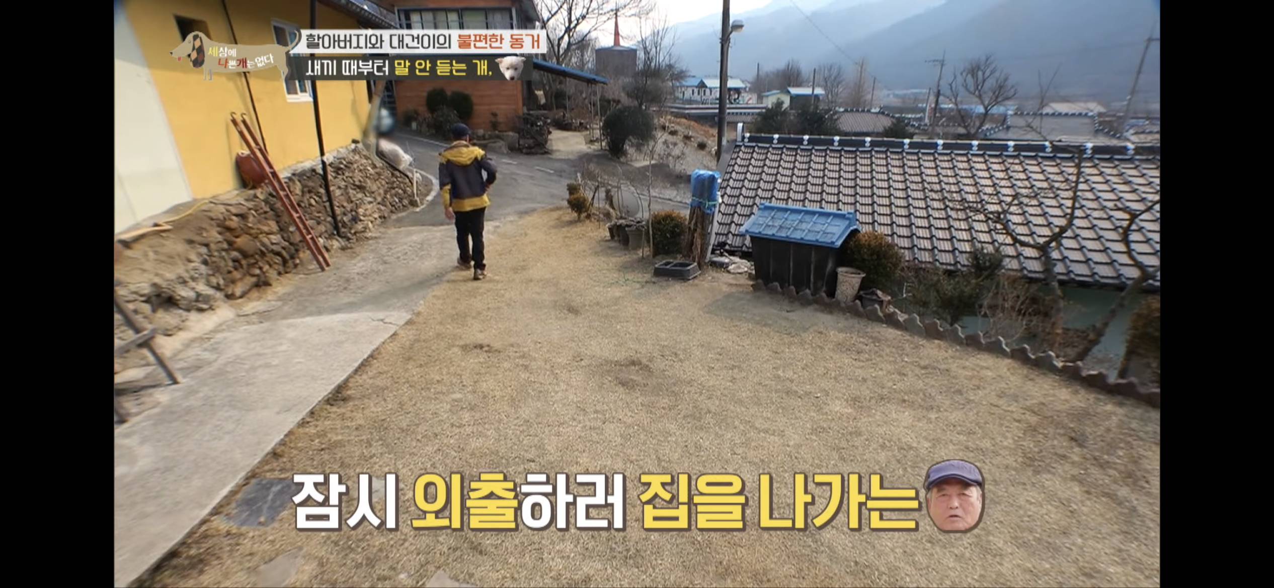 [세나개] 주인 할아버지를 무서워하는 들개 출신 대건이 | 인스티즈