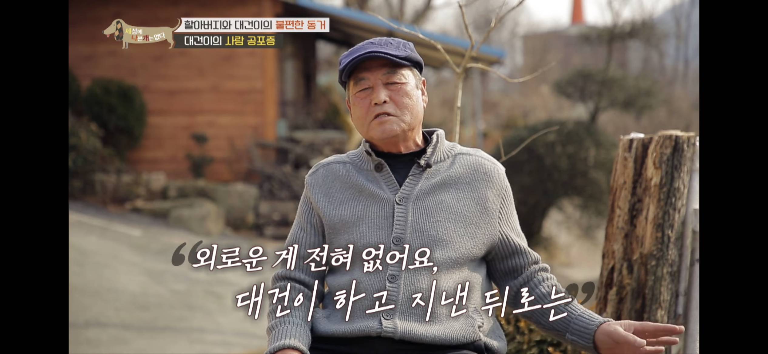 [세나개] 주인 할아버지를 무서워하는 들개 출신 대건이 | 인스티즈
