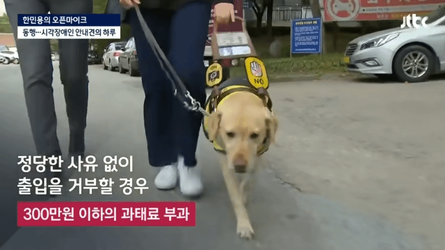 밥먹으려다가 7번 거절 당하는 강아지 | 인스티즈
