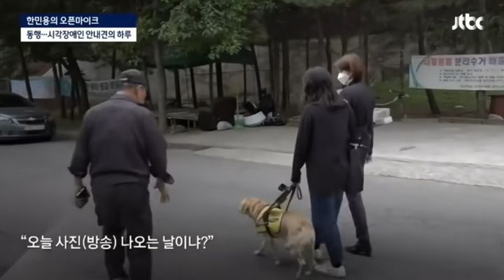 밥먹으려다가 7번 거절 당하는 강아지 | 인스티즈