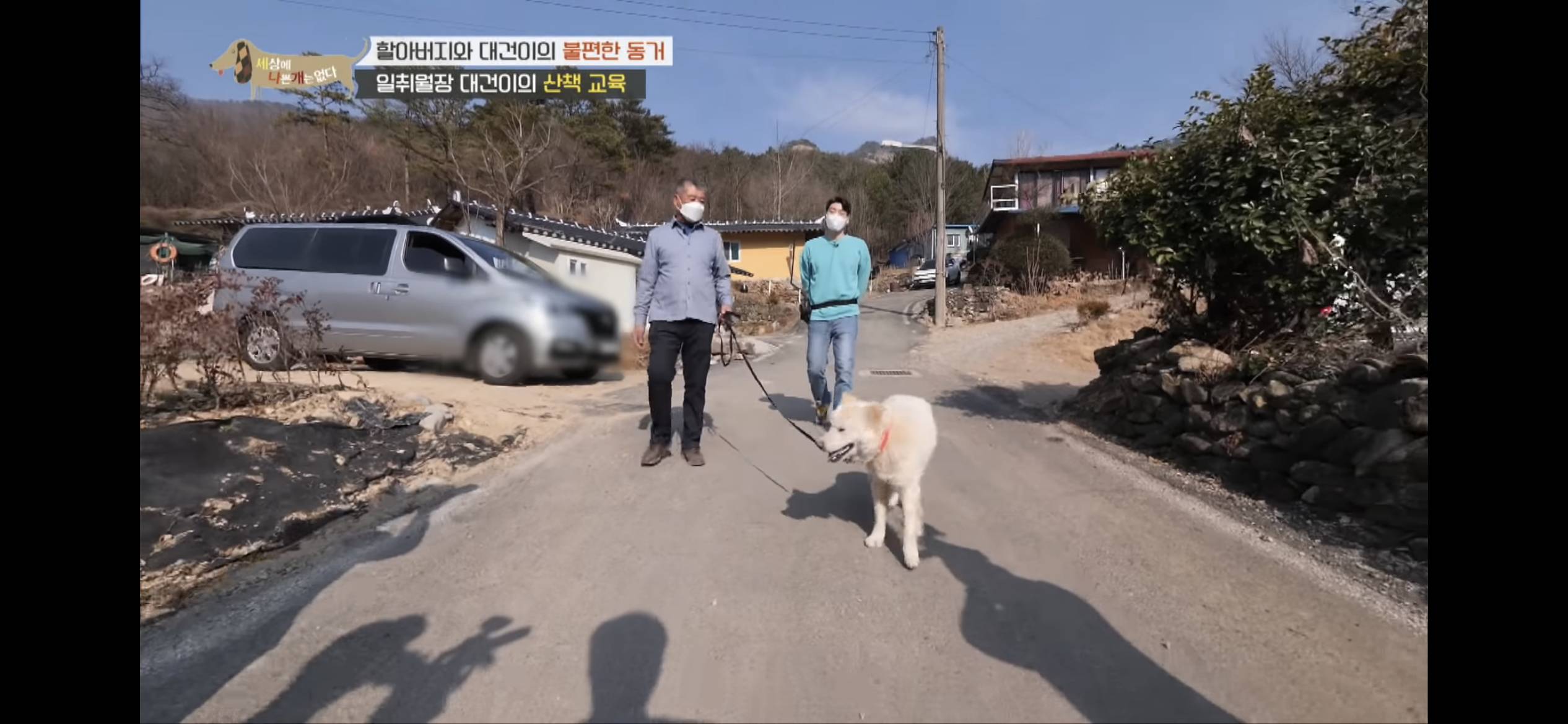 [세나개] 주인 할아버지를 무서워하는 들개 출신 대건이 | 인스티즈