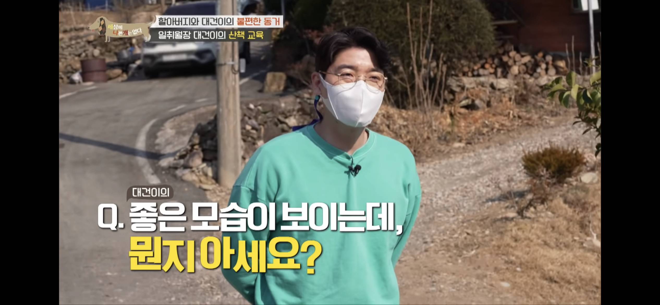 [세나개] 주인 할아버지를 무서워하는 들개 출신 대건이 | 인스티즈