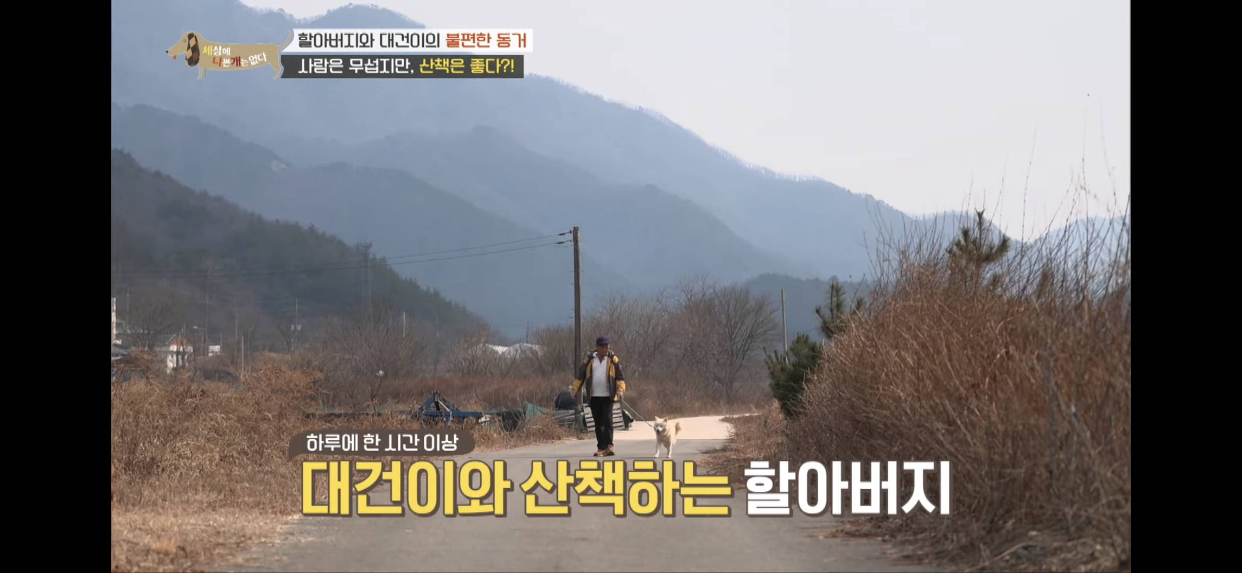 [세나개] 주인 할아버지를 무서워하는 들개 출신 대건이 | 인스티즈