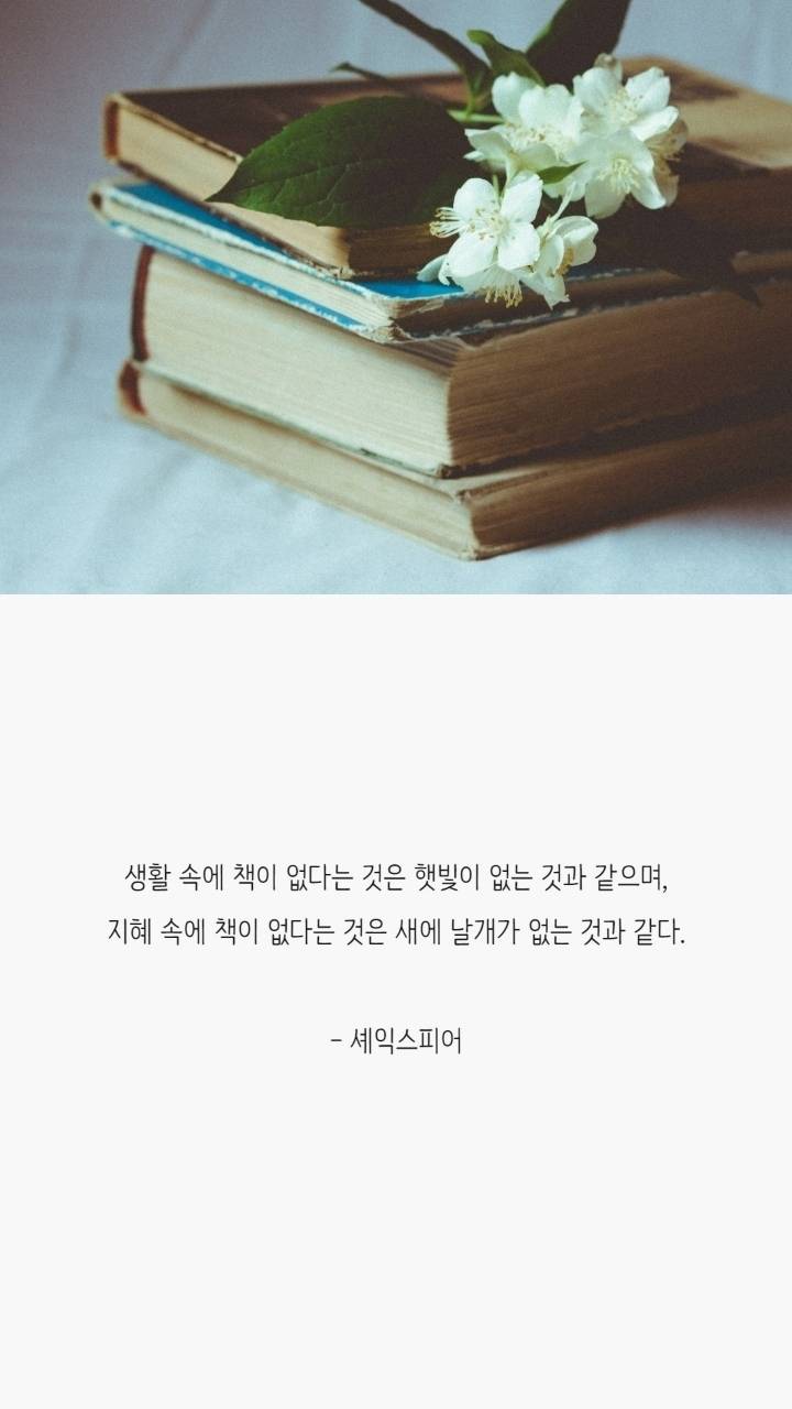 독서욕구 자극하는 책 명언 | 인스티즈