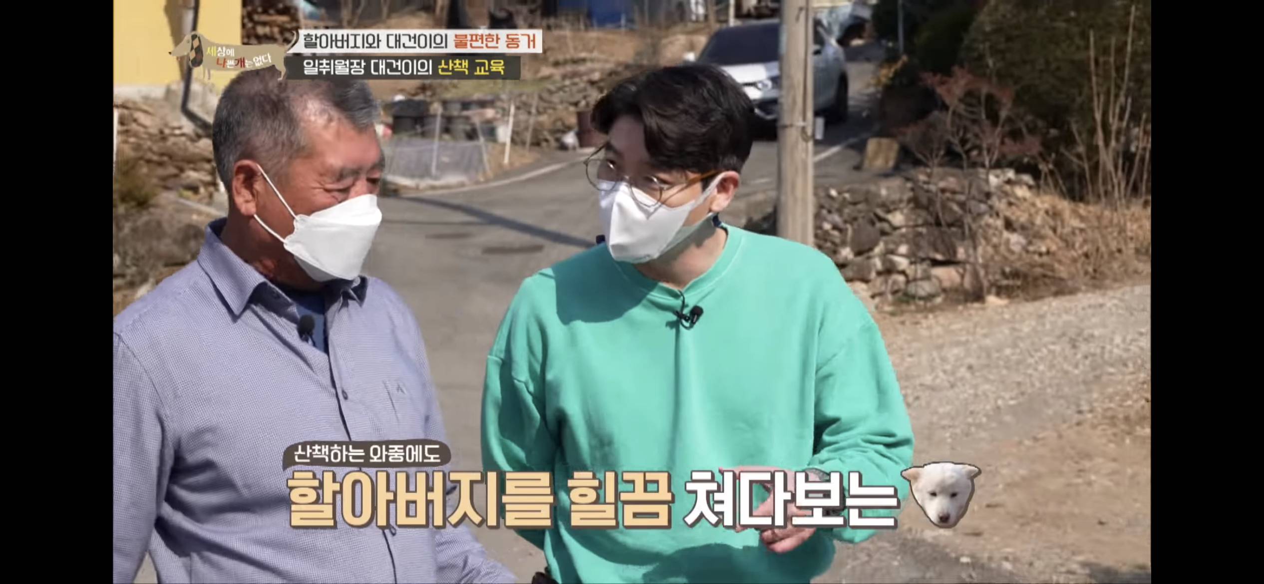 [세나개] 주인 할아버지를 무서워하는 들개 출신 대건이 | 인스티즈