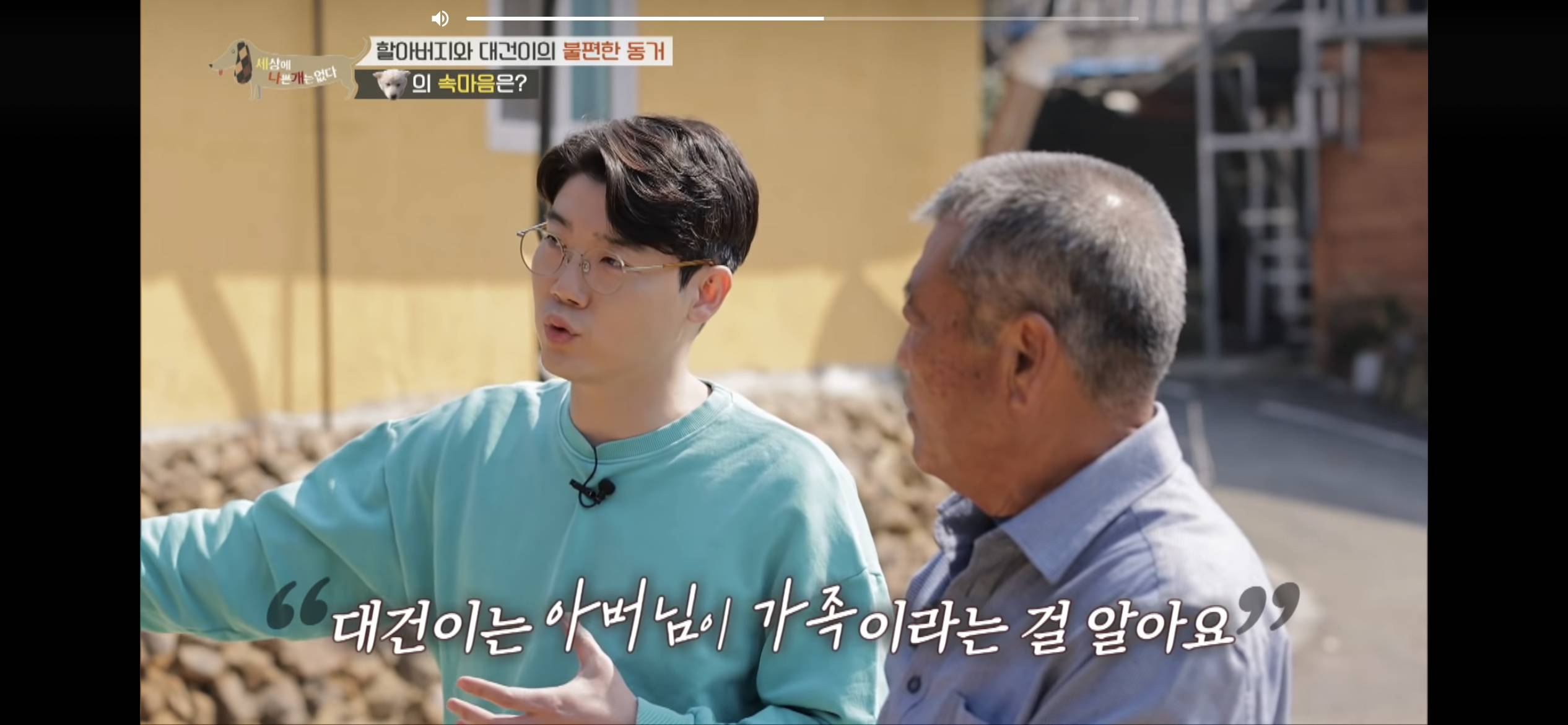 [세나개] 주인 할아버지를 무서워하는 들개 출신 대건이 | 인스티즈
