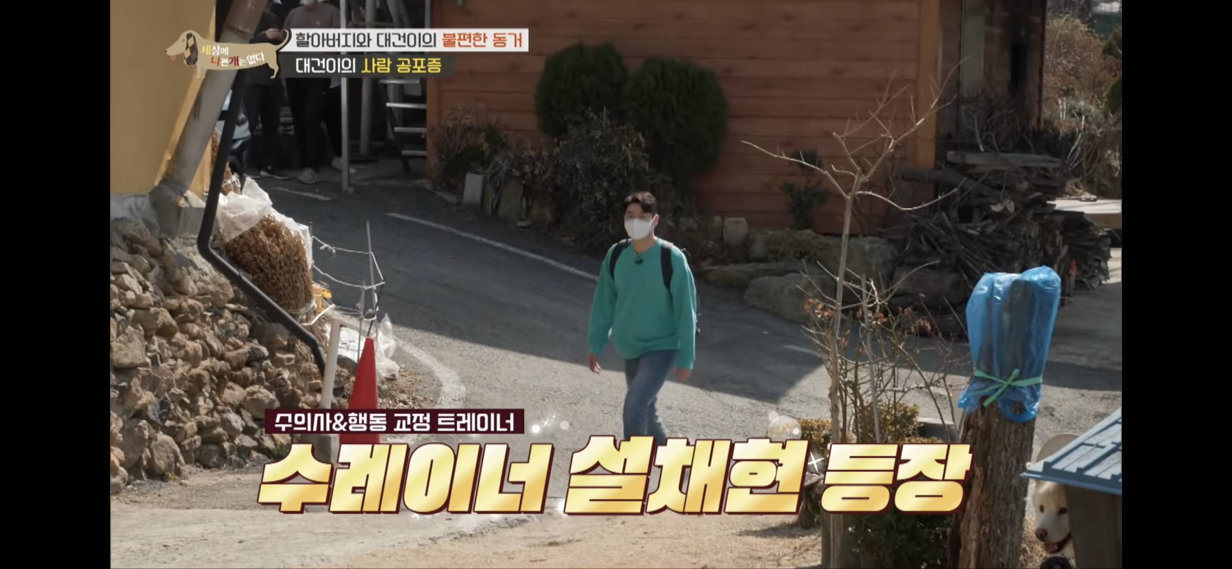 [세나개] 주인 할아버지를 무서워하는 들개 출신 대건이 | 인스티즈